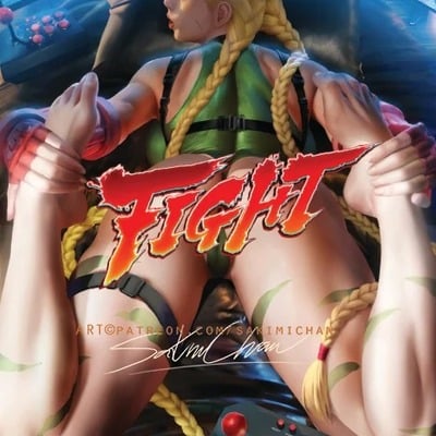 Cammy pov fight poster #422