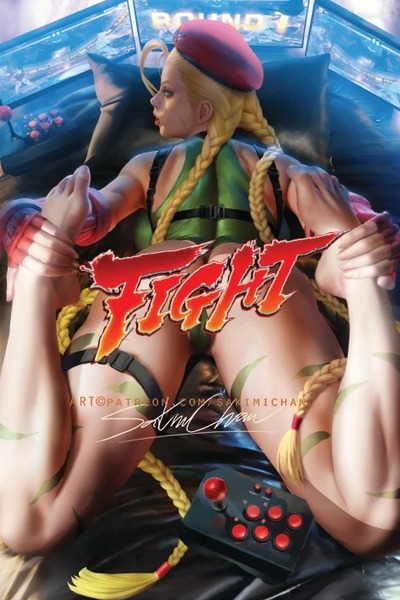 Cammy Pov Fight Poster #422