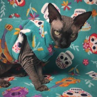 Calacas - Thumbnail 1