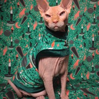 By Candlelight - Thumbnail 2