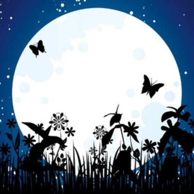 Moonlight path soy shots ~ 1 oz.