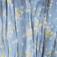 Fire Flies  - Thumbnail 1