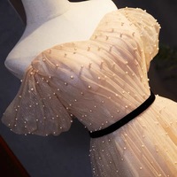 Champagne tulle long prom dress A-line evening dress - Thumbnail 1