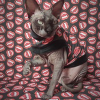 Bite Me - Thumbnail 1