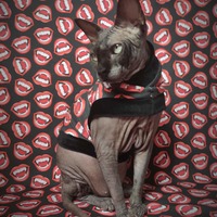 Bite Me - Thumbnail 2