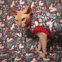 Unicorn Glitter - Thumbnail 1