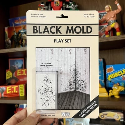 Fun with mold play set