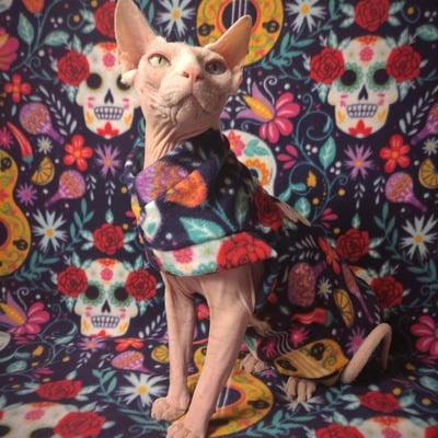 Music of day of the dead - Thumbnail 4