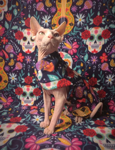 Music Of Day Of The Dead