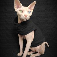 Chains Of Love - Thumbnail 1