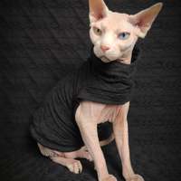 Chains Of Love - Thumbnail 2