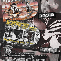 NASUM/AGATHOCLES SPLIT PICTURE DISC - Thumbnail 6