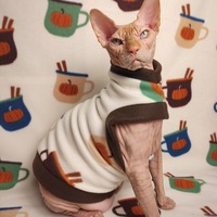 Pumpkin Spice Latte - Thumbnail 2