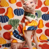 Gourdito - Thumbnail 2