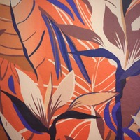 Birds Of Paradise  - Thumbnail 3