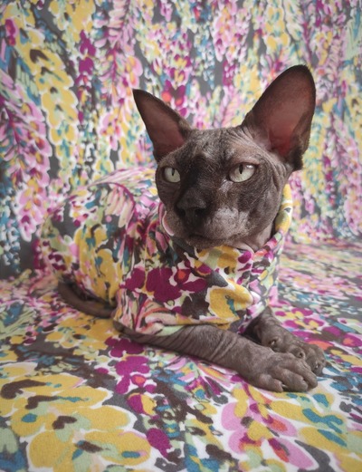 Blooming Sweaterknit