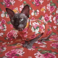 Roses And Rust - Thumbnail 1