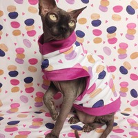 Macarons  - Thumbnail 2