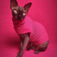 Mean Girls Day - Thumbnail 2