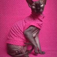 Mean Girls Day - Thumbnail 1