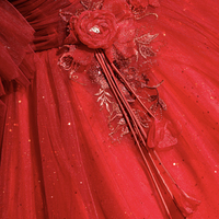 Red Tulle Long A-line Ball Gown Formal Gown - Thumbnail 2