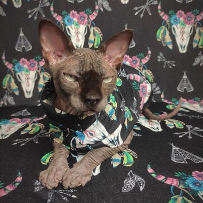 Home on the range (black)