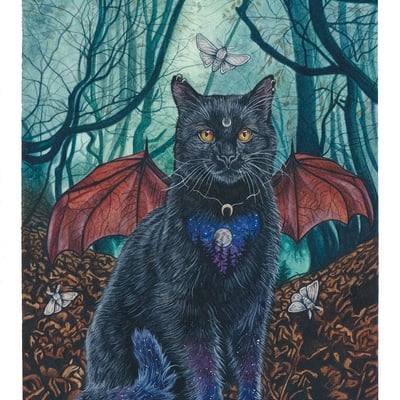 "nocturne" print