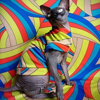 Groovy Mod - Thumbnail 1