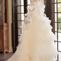 Champagne tulle long A-line ball gown formal gown - Thumbnail 1