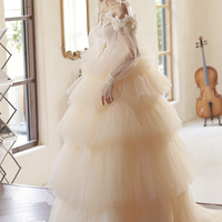 Champagne tulle long A-line ball gown formal gown - Thumbnail 2