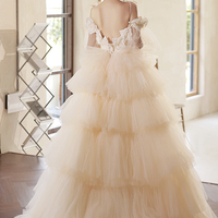 Champagne tulle long A-line ball gown formal gown - Thumbnail 5