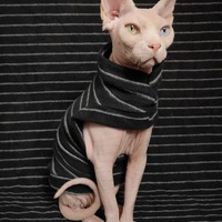 Shnarfle - Yeezus - Thumbnail 2