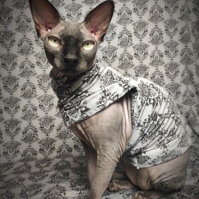 Haunted mansion - sleepwear - Thumbnail 5