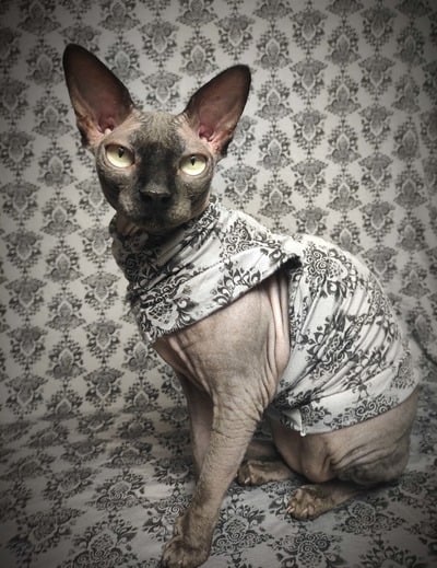 Haunted Mansion - Sleepwear