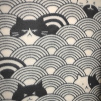 House Of The Rising Cats - Thumbnail 3