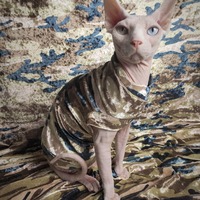 Desert Camo Velvet - Thumbnail 1