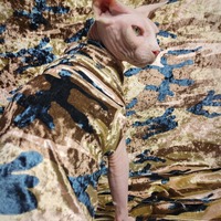 Desert Camo Velvet - Thumbnail 2