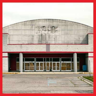 Laura jane grace "bought to rot" lp cccp 246-1