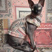 Fall Bandana - Thumbnail 2