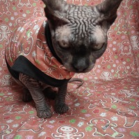 Gingerbread Nightmare - Thumbnail 1