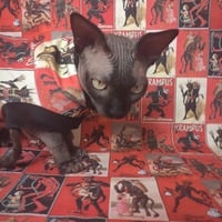 Krampuses - Thumbnail 1