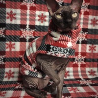 Snowflake Plaid - Thumbnail 1