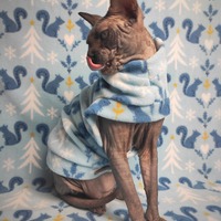 Squirrelfriends - Thumbnail 2