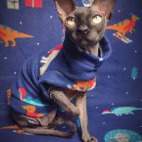 Dinosaurs In Sweaters - Thumbnail 1