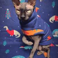 Dinosaurs In Sweaters - Thumbnail 2