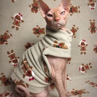 Gingerbread Folk - Thumbnail 2