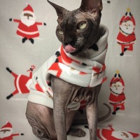 Santa Yogis - Thumbnail 1