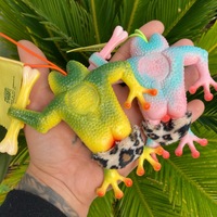  THE FROGLODYTE (New and Improved) - Thumbnail 2