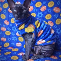 Hanukkah Treats - Thumbnail 1