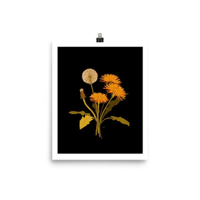 Dandelion print 